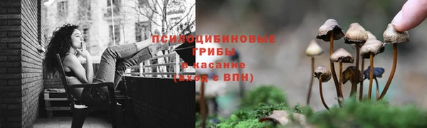 эйфоретик Богородицк