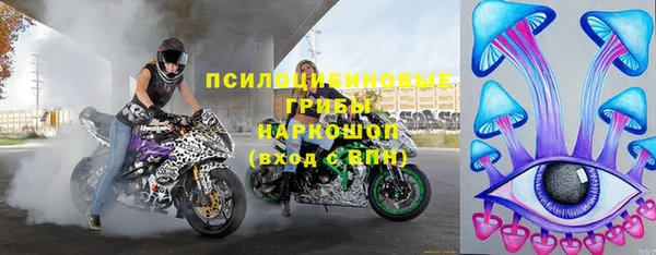 эйфоретик Богородицк