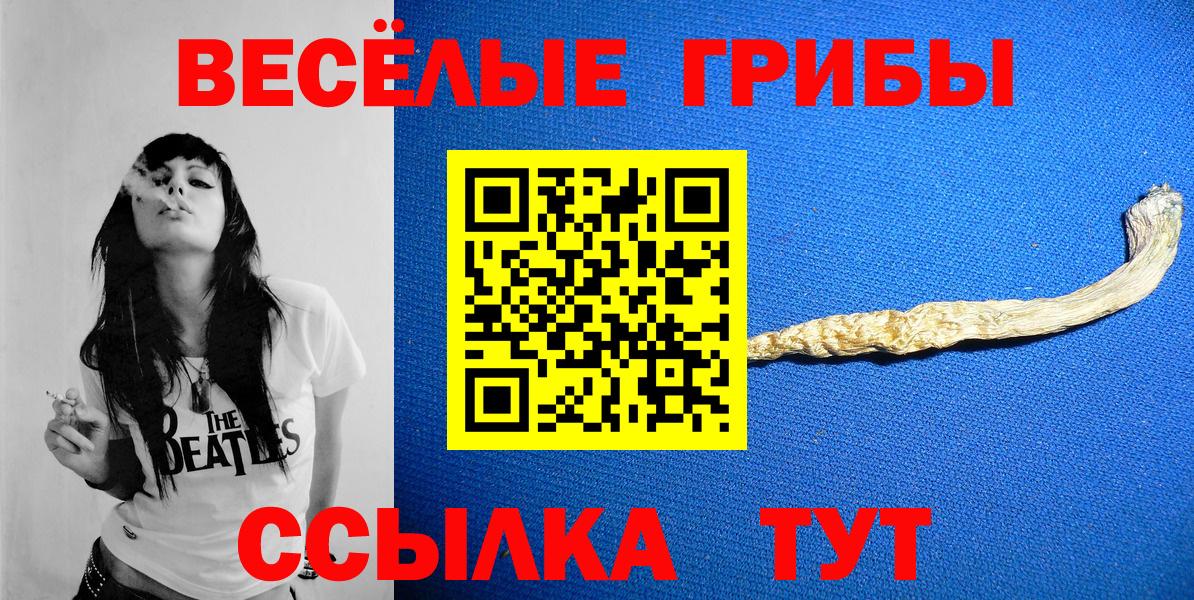 Галлюциногенные грибы Psilocybine cubensis  Вход с VPN  Великий Устюг 